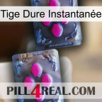 Tige Dure Instantanée 01